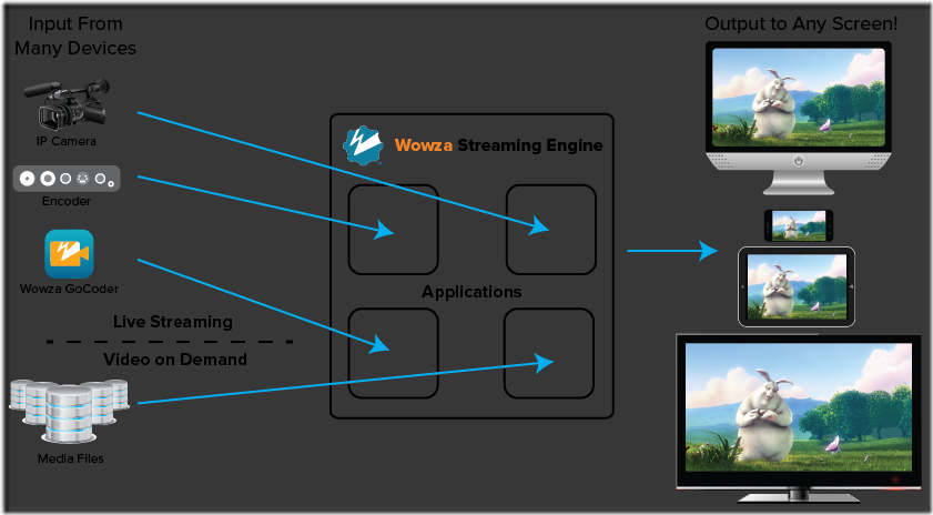 ftu_workflow